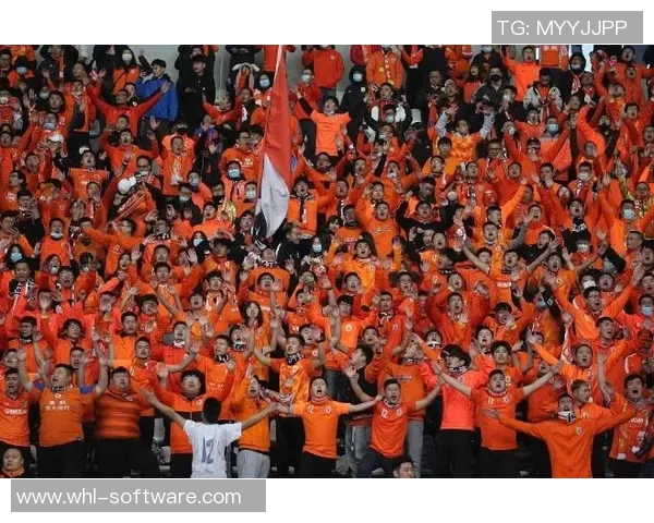 基马诺克与哈球队激战正酣精彩对决引发球迷热议