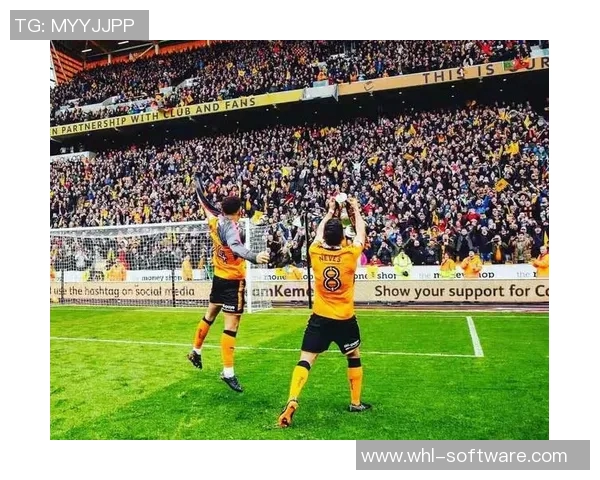 若昂内维斯的足球之路：从青训新星到职业联赛的璀璨之星