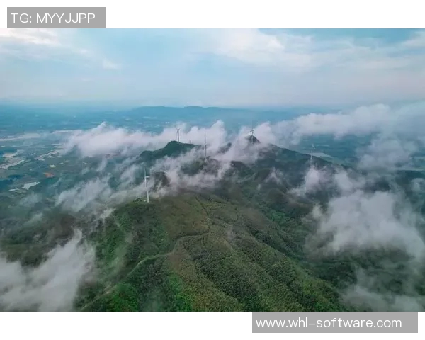 原帅：从新生代演员到实力派明星的华丽蜕变之路