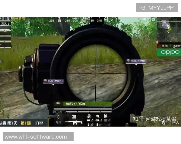 和平精英战队RNG的转型之路与未来发展展望解析