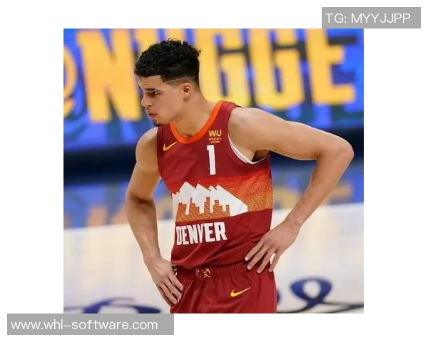 小迈克尔波特的篮球之路与未来发展展望