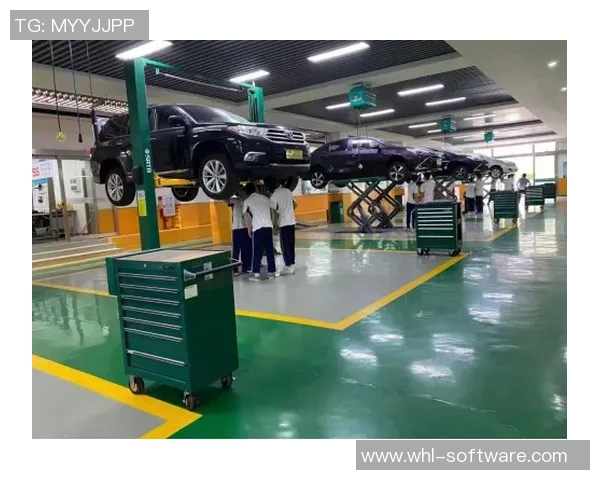 武汉排球队区域防守策略揭秘深度解析排球战术与团队协作