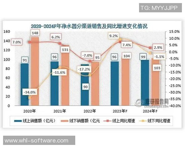 苏宁易购与华夏的竞争分析及市场前景探讨