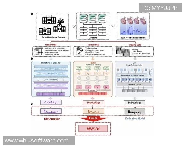 重庆滑板队力量表现数据分析揭示运动员潜力与训练效果的深度关系