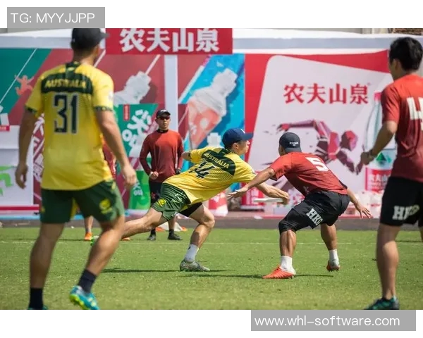 南京飞盘队的崛起与奋斗：探索飞盘运动的魅力与团队精神