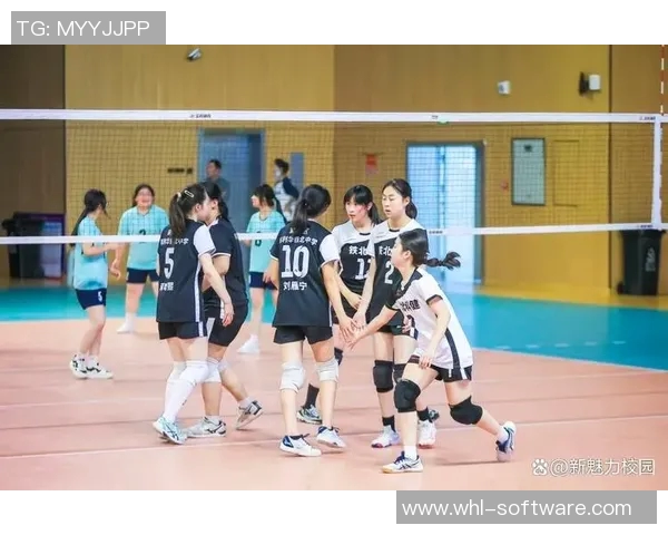 南京排球队在世界锦标赛中的个人能力表现分析与点评