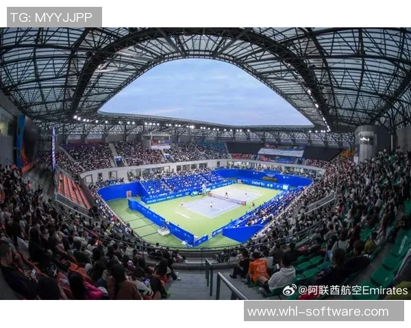 成都网球队中路突破的成功与不足分析及未来发展方向探讨